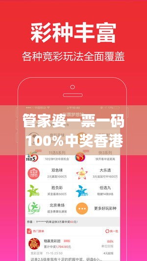 管家婆一票一码100%中奖香港,效率资料解释定义_定制版4.982