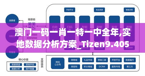 澳门一码一肖一特一中全年,实地数据分析方案_Tizen9.405