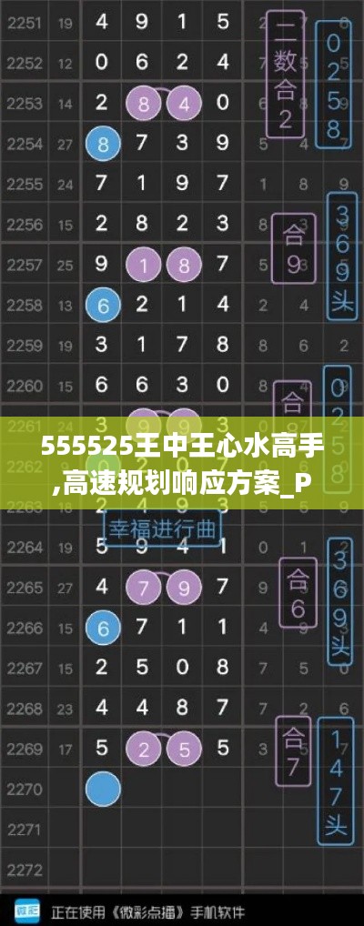 555525王中王心水高手,高速规划响应方案_PalmOS5.617