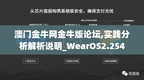 澳门金牛网金牛版论坛,实践分析解析说明_WearOS2.254