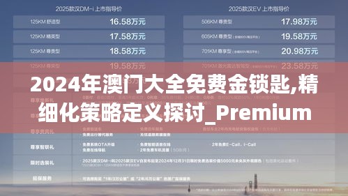 2024年澳门大全免费金锁匙,精细化策略定义探讨_Premium5.493