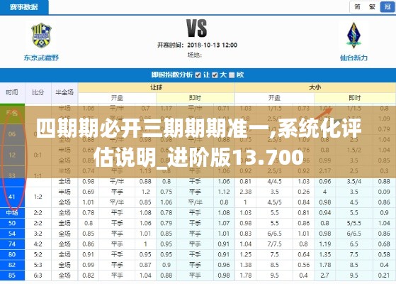 四期期必开三期期期准一,系统化评估说明_进阶版13.700