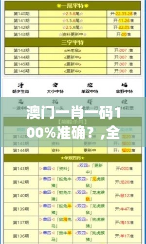 澳门一肖一码100%准确？,全面实施数据分析_网页款6.744