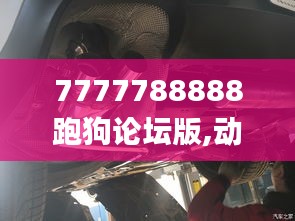 7777788888跑狗论坛版,动态评估说明_铂金版8.603