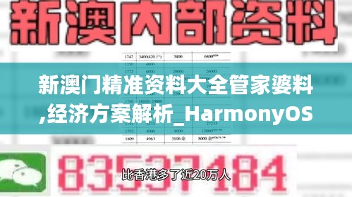 新澳门精准资料大全管家婆料,经济方案解析_HarmonyOS1.487