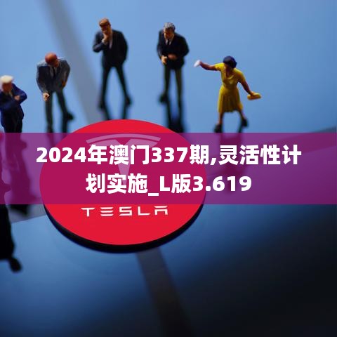 2024年澳门337期,灵活性计划实施_L版3.619