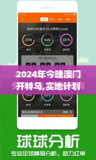 2024年今晚澳门开特马,实地计划设计验证_yShop1.833