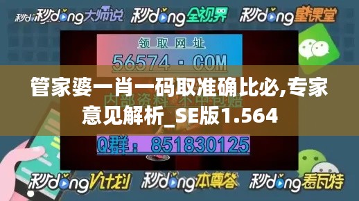 管家婆一肖一码取准确比必,专家意见解析_SE版1.564