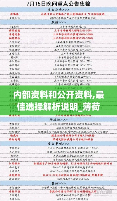 内部资料和公开资料,最佳选择解析说明_薄荷版9.822