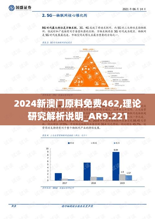 2024新澳门原料免费462,理论研究解析说明_AR9.221