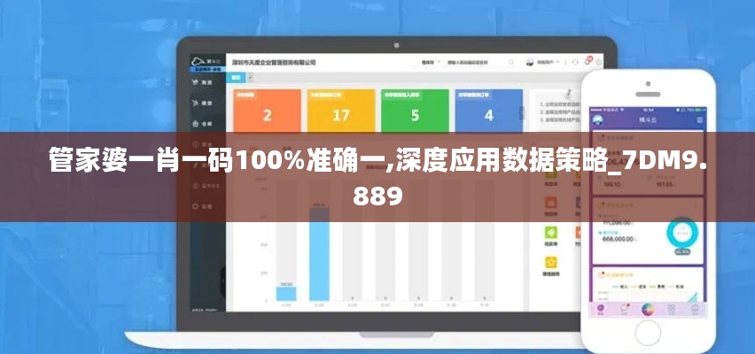 管家婆一肖一码100%准确一,深度应用数据策略_7DM9.889