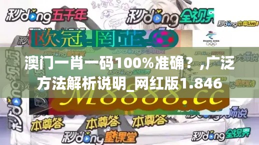 澳门一肖一码100%准确？,广泛方法解析说明_网红版1.846