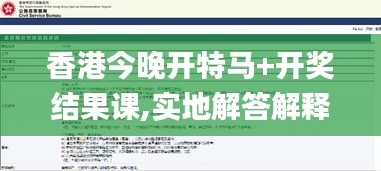 香港今晚开特马+开奖结果课,实地解答解释定义_FT4.323