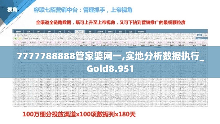 7777788888管家婆网一,实地分析数据执行_Gold8.951