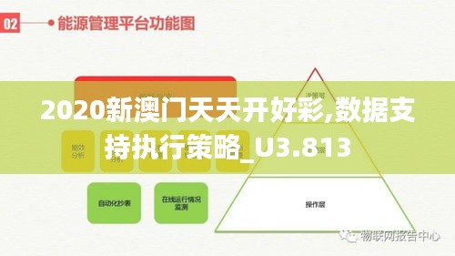 2020新澳门天天开好彩,数据支持执行策略_U3.813