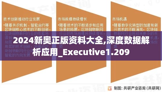 2024新奥正版资料大全,深度数据解析应用_Executive1.209