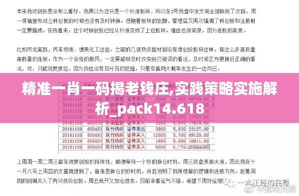 精准一肖一码揭老钱庄,实践策略实施解析_pack14.618