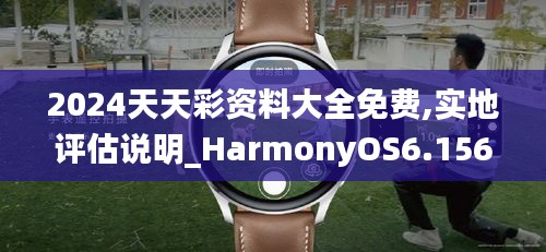 2024天天彩资料大全免费,实地评估说明_HarmonyOS6.156