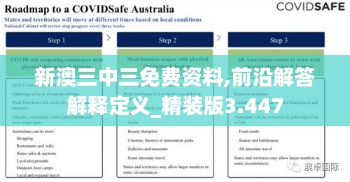 新澳三中三免费资料,前沿解答解释定义_精装版3.447