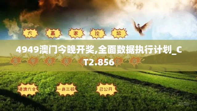 4949澳门今晚开奖,全面数据执行计划_CT2.856