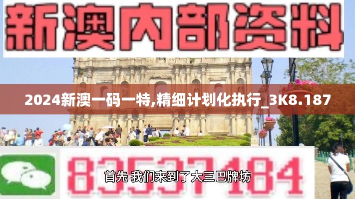 2024新澳一码一特,精细计划化执行_3K8.187