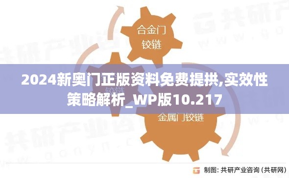 2024新奥门正版资料免费提拱,实效性策略解析_WP版10.217