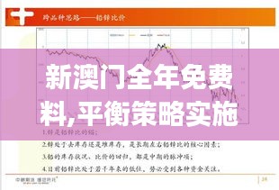 新澳门全年免费料,平衡策略实施_豪华版9.525