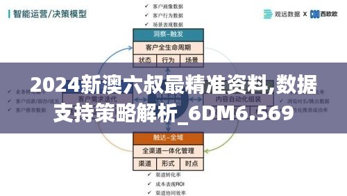 2024新澳六叔最精准资料,数据支持策略解析_6DM6.569