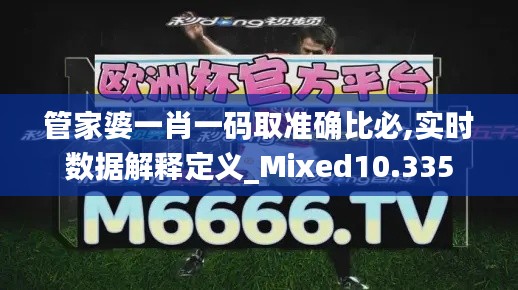 管家婆一肖一码取准确比必,实时数据解释定义_Mixed10.335