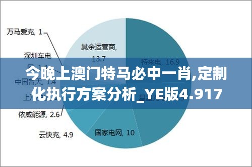 今晚上澳门特马必中一肖,定制化执行方案分析_YE版4.917