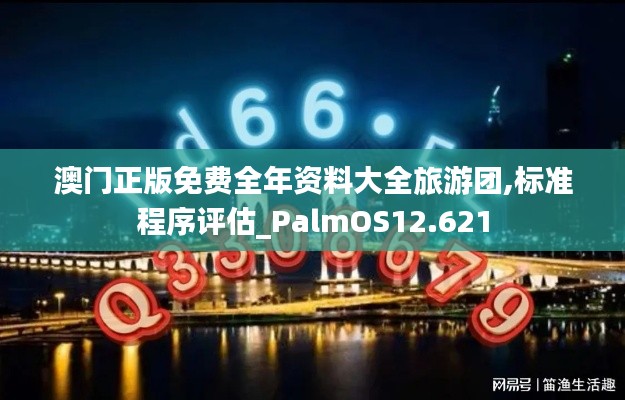 澳门正版免费全年资料大全旅游团,标准程序评估_PalmOS12.621