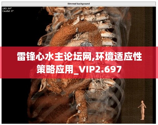 雷锋心水主论坛网,环境适应性策略应用_VIP2.697