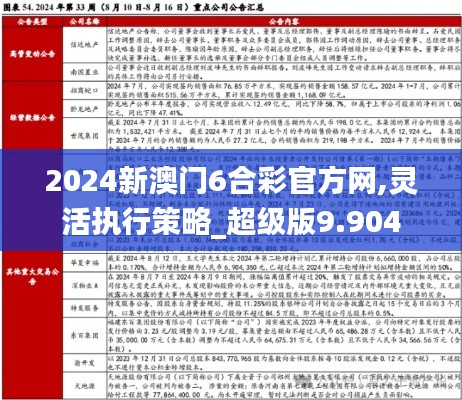 2024新澳门6合彩官方网,灵活执行策略_超级版9.904