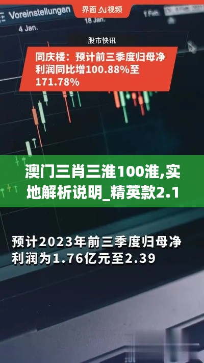 澳门三肖三淮100淮,实地解析说明_精英款2.171