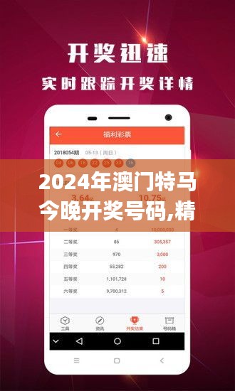 2024年澳门特马今晚开奖号码,精细化计划执行_交互版8.809