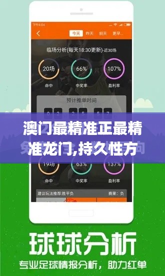 澳门最精准正最精准龙门,持久性方案解析_移动版110.472