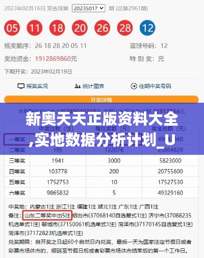 新奥天天正版资料大全,实地数据分析计划_U5.817