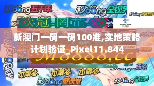 新澳门一码一码100准,实地策略计划验证_Pixel11.844