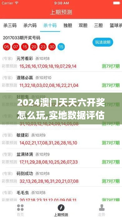 2024澳门天天六开奖怎么玩,实地数据评估设计_XE版2.862