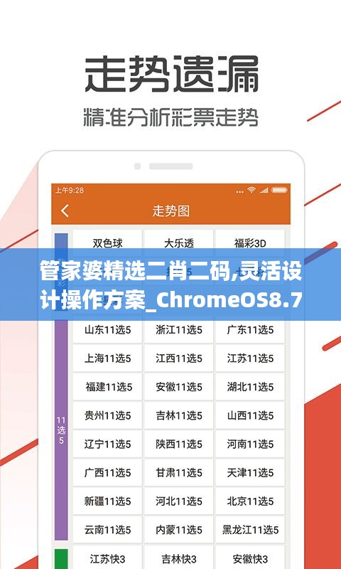 管家婆精选二肖二码,灵活设计操作方案_ChromeOS8.701