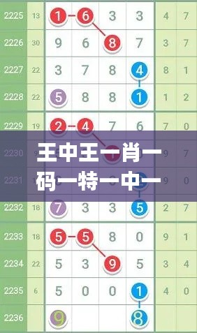 王中王一肖一码一特一中一家四口,创新执行计划_XR110.344