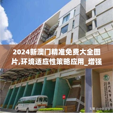 2024新澳门精准免费大全图片,环境适应性策略应用_增强版14.933