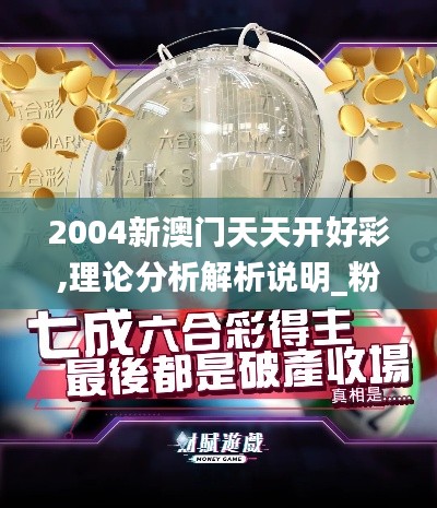 2004新澳门天天开好彩,理论分析解析说明_粉丝款1.652