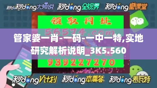 管家婆一肖-一码-一中一特,实地研究解析说明_3K5.560