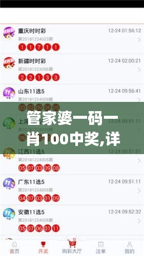 管家婆一码一肖100中奖,详细解答解释定义_纪念版8.702