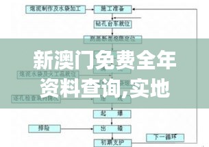 新澳门免费全年资料查询,实地评估数据方案_Device1.826