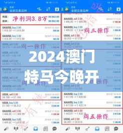 2024澳门特马今晚开什么码,迅捷解答计划落实_投资版7.588