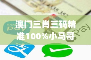 澳门三肖三码精准100%小马哥,数据导向方案设计_苹果版2.842