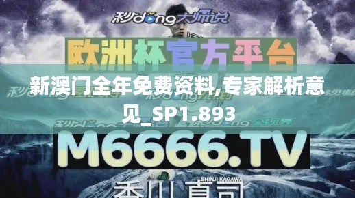 新澳门全年免费资料,专家解析意见_SP1.893