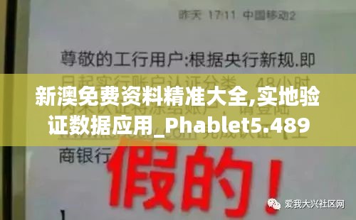 新澳免费资料精准大全,实地验证数据应用_Phablet5.489